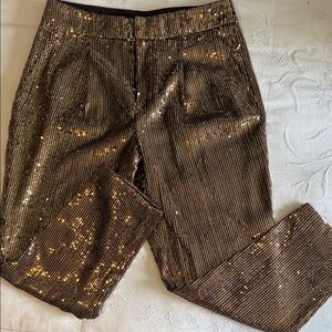 Banana Republic Bronze Sequin Stripe Dress Pants